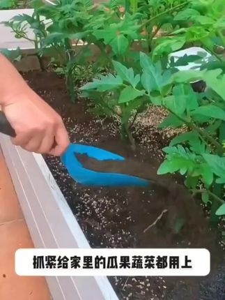 羊粪批发发酵纯羊粪种菜家用农家肥蔬菜绿植养花专用羊粪肥直供#绿植 #花园 #好物推荐🔥 #种植小技巧 #蔬菜