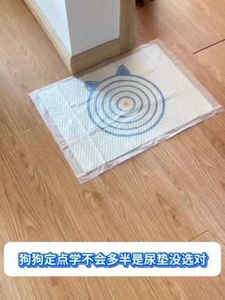 教狗狗定点上厕所真的很简单!一教就会,养宠家庭必备#萌宠好物 #宠物尿垫 #宠物定点大小便