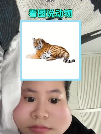 动物世界说了这是豹子🐆#人在非洲 #上火 #看图猜 #科普#挑战不可能