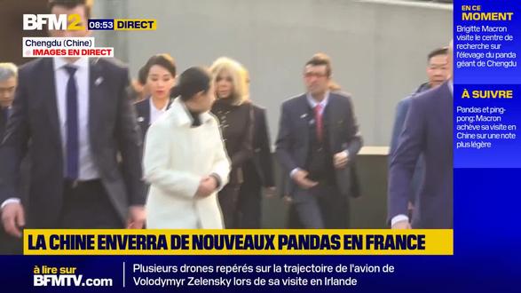 法国总统夫人访问四川大熊猫基地#马克龙访华 #马克龙