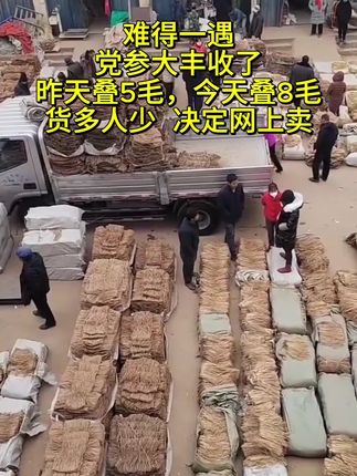 #党参#精选品质#源头好货#优质农产品#我的乡村生活