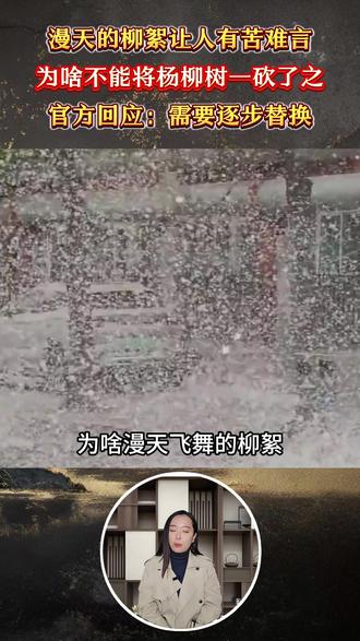 漫天柳絮烦不胜烦,为何不砍光杨柳树?官方回答让人意外 #科普 #柳絮 #杨柳树