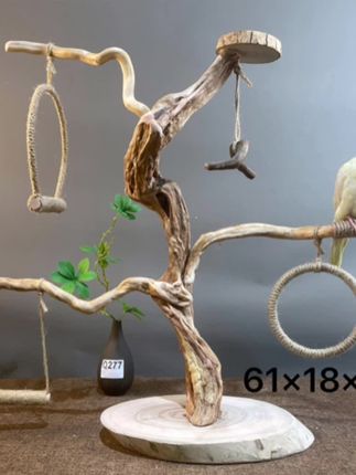 手工鹦鹉架子站架杆鸟架原木鸟站架树枝树干落地式大型鸟站架配件#宠物用品 #鹦鹉站架推荐 @巨量千川 @小店随心推 @DOU+上热门