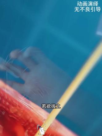 被刺扎到该如何正确取出? #科普一下