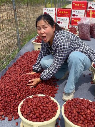 #红枣 #新疆红枣