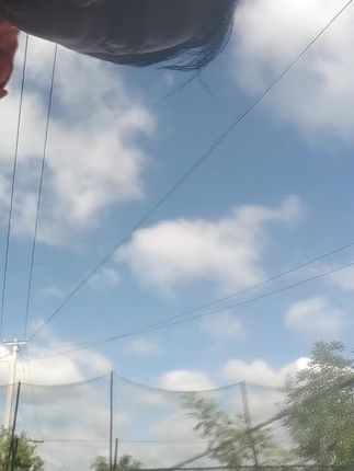 生活随拍