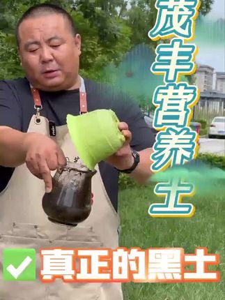 #养花小知识 #三农