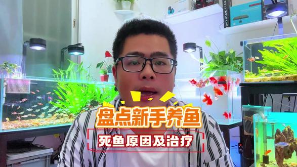 盘点新手养鱼死鱼原因及治疗方法 盘点新手养鱼死鱼原因及治疗方法#新手养鱼 #观赏鱼 #水族 #养鱼日记