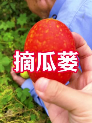 爷爷给我普及知识。#原创视频 #大自然的馈赠