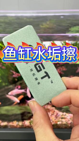 AQGT除水垢擦清洁内壁玻璃鱼缸清洗水痕水渍神器无鱼缸擦缸神器#鱼缸清洁 #擦缸神器 #除水垢 #家居好物 #清洁神器