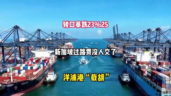 转口暴跌23%,新加坡过路费没人交了,洋浦港“截胡”?