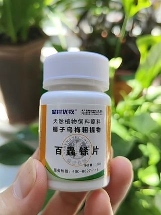 #养狗人 #养狗的乐趣 #养狗经验分享 #养狗日常 #养狗