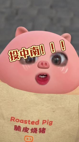来来来来!!都跟着我投:中~南!!! #雷#朋 #没有tag #投票 #精神状态belike