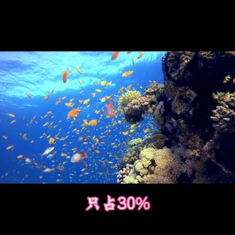 经典启蒙 画地图听历史背经典