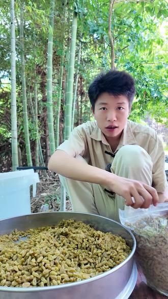 纯晒银耳VS烘干银耳