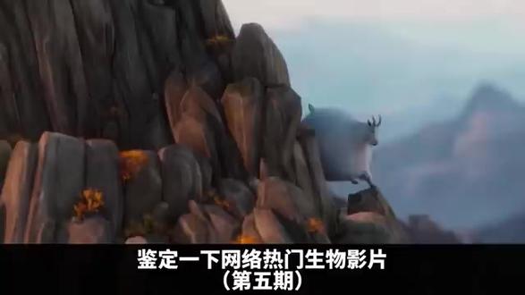 萌宠动物配音 #萌宠动物 #配音