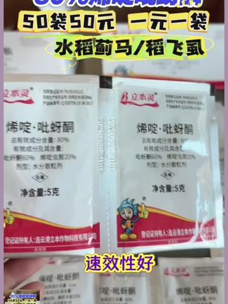 80%烯啶吡蚜酮50袋50元打水稻稻飞虱 #水稻种植#烯啶吡蚜酮 #稻飞虱 #飞虱#水稻