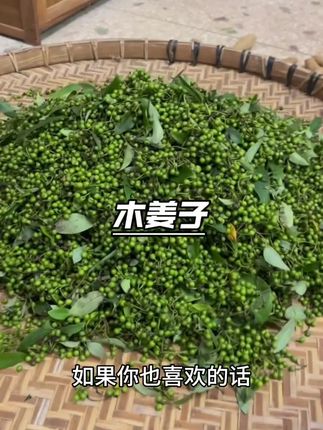 酸汤鱼的黄金搭档,6块5抢半斤木姜子#木姜子 #木姜子红酸汤 #木姜子鸡脚