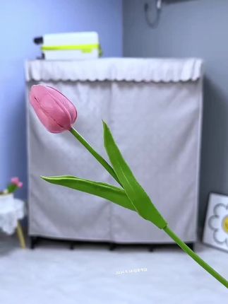 #衣柜#简易衣柜#结实耐用 #收纳整理 #生活好帮手