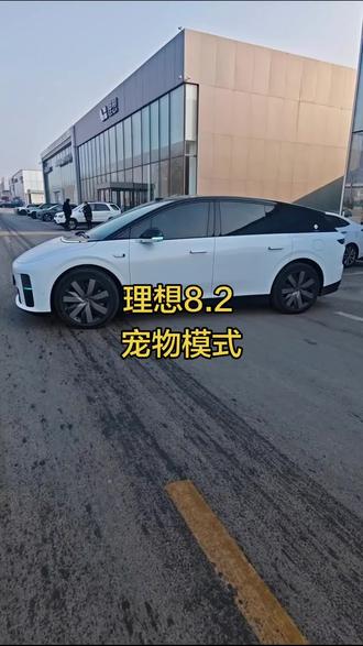 理想最新8.2版本 宠物模式 快来一起体验吧#理想生活进行时#我家的宠物座舱