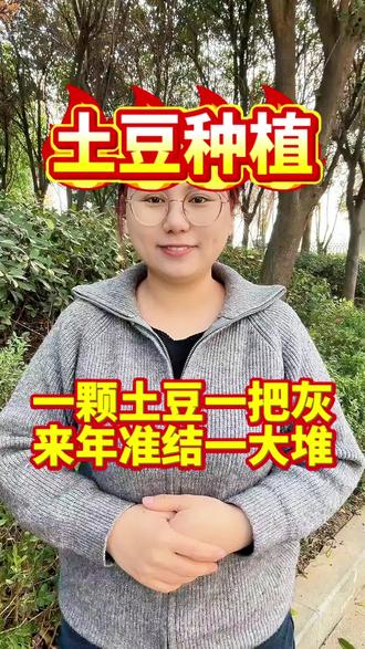 一颗土豆一把灰,来年准结一大堆#土豆 #土豆种植 #土豆种植技术与管理 #三农