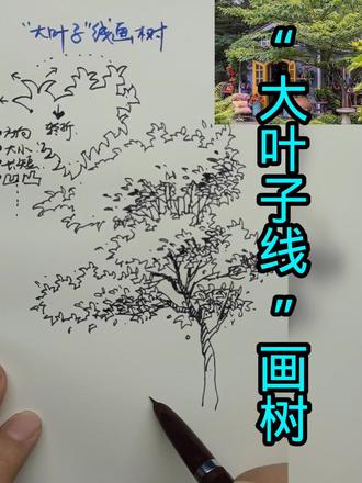 这种线条画树咋样?
#速写 #速写教学 #树的画法 #画画
