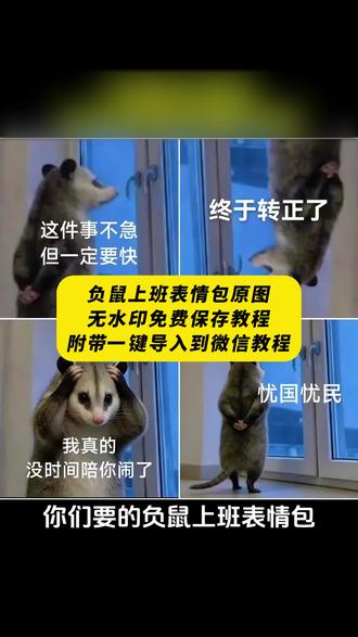 《晚风精选》负鼠表情包也太逗了吧。欢迎补齐
#负鼠表情包 #搞笑 #负鼠 #我求你了放过我吧