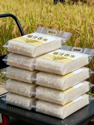 一碗好饭,温暖全家一始于猫牙鲜米!! 这款猫牙鲜米,生长于优质稻田,沐浴阳光雨露,吸取自然精华,每一粒香米都晶莹剔透,色泽自然,散发出淡淡最纯正的米香味! 经过人工精心挑选,保留了稻香最原有的米香和口感!煮饭时:满屋飘香,打开锅盖,一股清新浓郁的米香扑鼻而来,勾人食欲! 无论是搭配清淡小菜,还是丰富佳肴,猫牙鲜香米-都可以增添美味,提升口感。在忙碌的生活中,一碗猫牙米饭,不仅是味蕾的享受,更是对自然健康的追求,让您在繁忙的生活中,感受来自田野的纯净与美好#猫牙米#超便宜超划算 #大人孩子都爱吃 #猫牙香米 #优质农产品