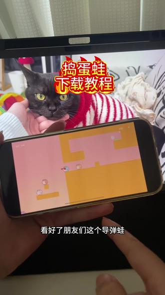 《刀刀宝盒》 捣蛋蛙 捣蛋蛙下载 捣蛋蛙下载教程 捣蛋蛙怎么下载#捣蛋蛙#捣蛋蛙下载#手机游戏推荐