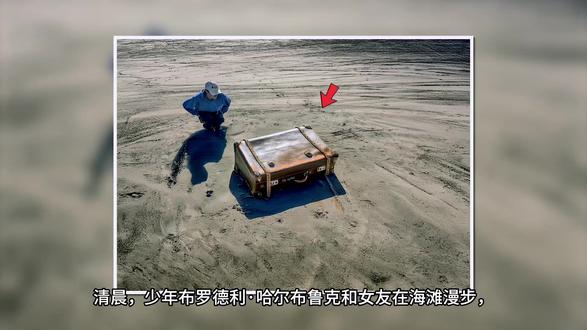 两情侣在海岸边发现秘行李箱,里面有大量破损的美元... #奇闻异事