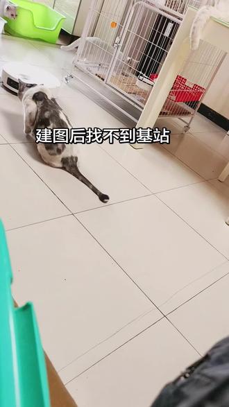 追觅s60pro试用 #追觅扫地机器人 刚建图找不到基站