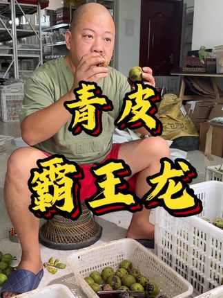 霸王龙青皮#文玩核桃 #霸王龙 #青皮核桃 #文玩爱好者