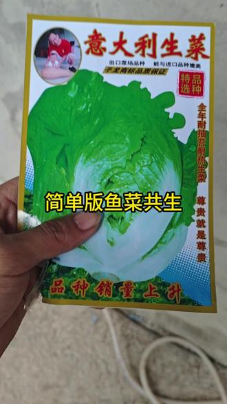 简单版鱼菜共生