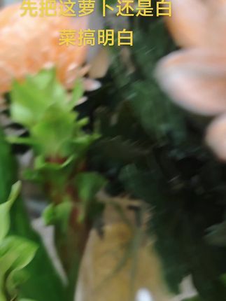 好物分享#纪录美好生活 #快来一起尝个鲜 #万能的抖音