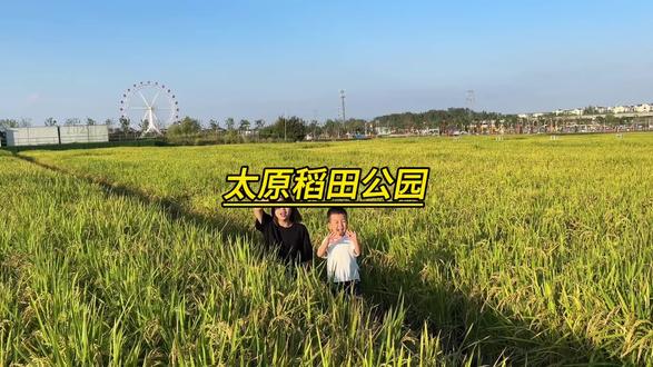 快看看还有没有299的票了 #亲子游玩好去处#遛娃好去处#太原遛娃好去处#暑假去哪玩#稻田公园 @太原康培稻田公园
