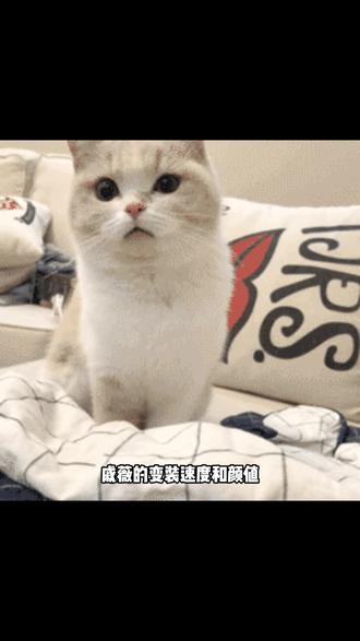 网速跟不上戚薇的变装#戚薇变装 #戚薇