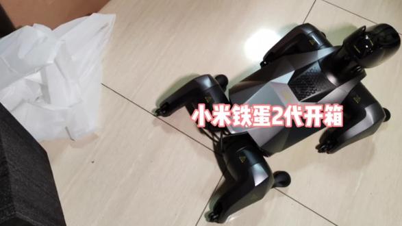 盼了好久的小米机器狗终于到手啦