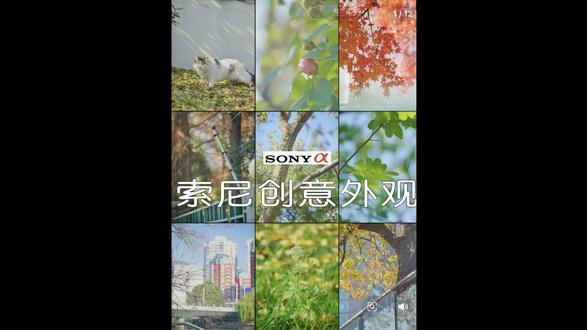 索尼微单相机上的创意外观设置详解#索尼a7m4 #索尼微单 #摄影器材 #数码产品