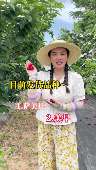 目前给大家发货的是这两个品种 萨美托+美早 萨米托属于酸甜口感 美早属于纯甜口感#天水大樱桃 #天水不止有麻辣烫还有大樱桃
