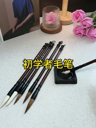 想要入手毛笔的推荐这套毛笔套装,到手九支实在是太划算了#毛笔#练字#毛笔入门#初学者毛笔