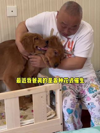 憨憨金和帅帅银