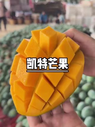 凯特芒上市啦!又称大脸芒!果大皮薄!软糯香甜!#凯特芒 #妈呀太香了 #薅羊毛的快乐 #应季水果