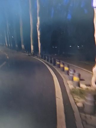 好物分享