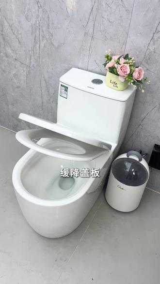 东鹏新款小白豚马桶,34个出水孔360度雨幕冲刷,缓降盖板,人体工学座圈!#马桶 #马桶怎么选 #装修分享 #卫浴 #家装卫浴