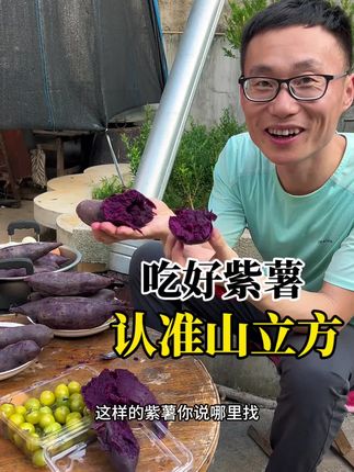 软糯 细腻 香甜!吃紫薯还得找对地方~就来山立方!都是今年的新紫薯头茬果!比往年同期好很多,新老朋友赶紧来尝尝#紫薯#优质粗粮#现挖现发#产地直发#老人小孩都爱吃