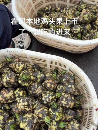 霍邱本地鸡头果大量上市了,想吃的进来看看总有一款适合你,有大果中果小果,爱吃霍邱本地鸡头果的可以安排了,中果拍十斤只要167块钱