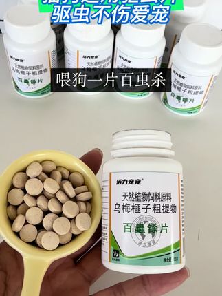 #科学养宠攻略 #狗狗🐶 #科学养狗 #养狗人 #科学养狗