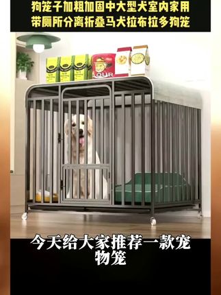 折叠大型结实加厚带厕所狗笼家用笼子加固四季狗笼子超大室外狗窝#好物推荐 #好物分享 #爆款热卖中 #好东西一起分享
