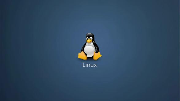 Linux SSH远程访问配置教程 本期视频演示如何在 Linux系统中安装ZeroNews Agent,并通过创建TCP映射实现公网SSH远程访问。内容涵盖从终端命令安装、Agent启动,到域名端口创建与映射配置的全过程。该方案适用于远程服务器管理、故障排查及云端开发调试等场景,帮助您快速建立安全的远程连接通道。#Linux #SSH远程访问 #内网穿透 #服务器管理 #远程运维