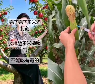 和 @雯创温室科技有限公司 一起 #合拍